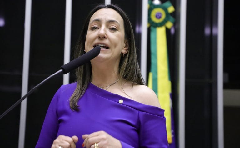 Deputada Rosangela Moro fala ao microfone