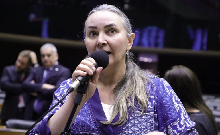 Deputada Daniela Reinehr fala ao microfone