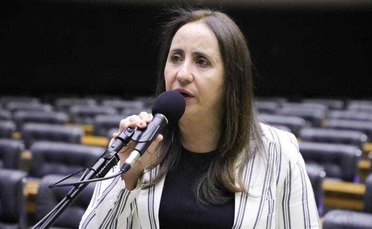 Deputada Adriana Ventura fala ao microfone