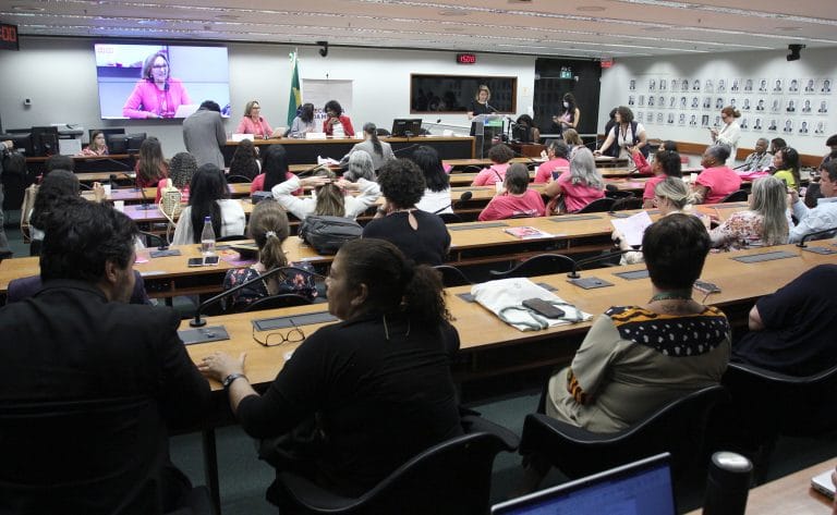 Seminário - Prevenção, detecção e tratamento dos cânceres do colo uterino e de mama. Senadora, Zenaide Maia (PSD - RN); Dep. Ana Pimentel (PT - MG) e Dep. Benedita da Silva (PT - RJ)