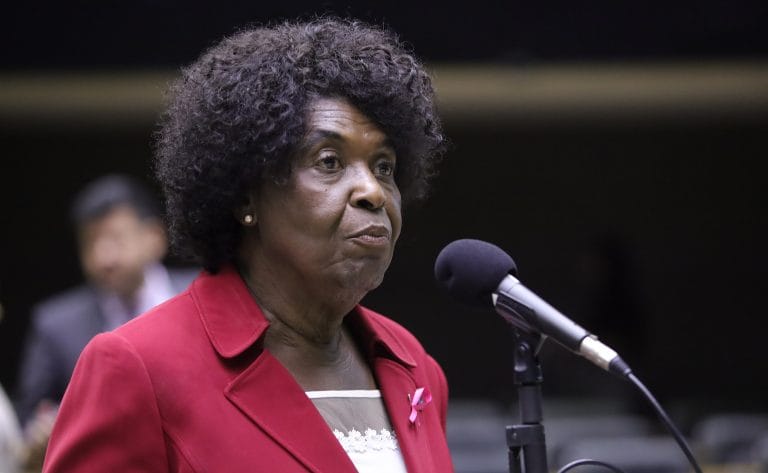 Discussão e votação de propostas legislativas. Dep. Benedita da Silva (PT - RJ)