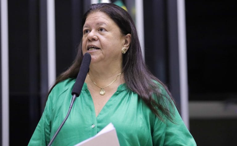Homenagem ao mês da Primeira Infância. Dep. Laura Carneiro (PSD - RJ)