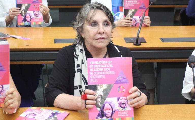 Audiência Pública - Relatório Nacional Voluntário (RNV) e Relatório Luz: evolução das metas de desenvolvimento sustentável. Dep. Erika Kokay (PT-DF)