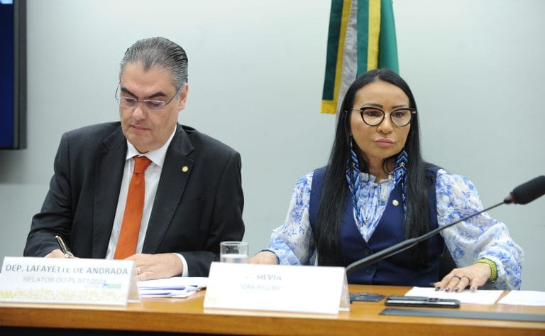 Audiência Pública - <a class='linkProposicao' href='https://www.camara.leg.br/noticias/1048897-projeto-proibe-distribuidora-de-energia-de-possuir-unidade-de-geracao-distribuida'>PL 671/2024</a>: veda micro e minigeração distribuída por concessionárias. Dep. Lafayette de Andrada (REPUBLICANOS - MG) e Dep. Silvia Waiãpi (PL - AP)