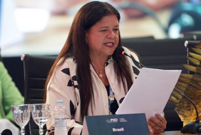 Deputada Laura Carneiro fala ao microfone