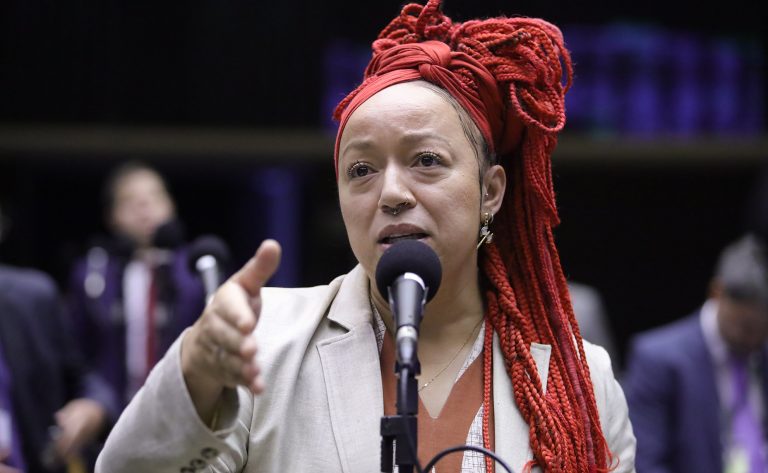 Discussão e votação de propostas. Dep. Daiana Santos (PCdoB - RS)