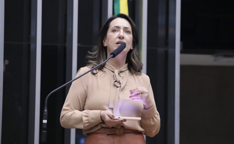 Discussão e votação de propostas legislativas. Dep. Rosângela Moro (UNIÃO - SP)