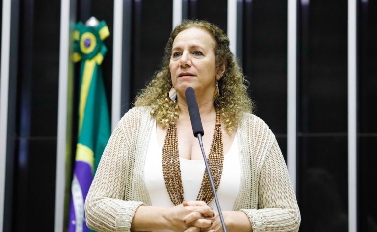 Discussão e votação de propostas legislativas. Dep. Jandira Feghali (PCDOB-RJ)