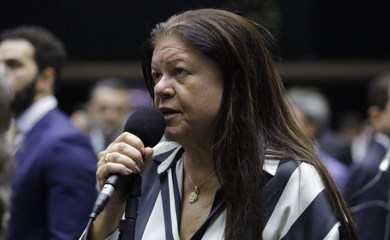 Discussão e votação de propostas legislativas. Dep. Laura Carneiro (PSD - RJ)