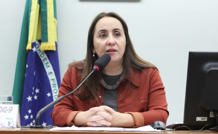 Deputada Adriana Ventura fala ao microfone