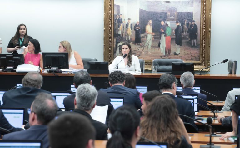 Discussão e votação de propostas legislativas. Dep. Caroline de Toni (PL-SC).