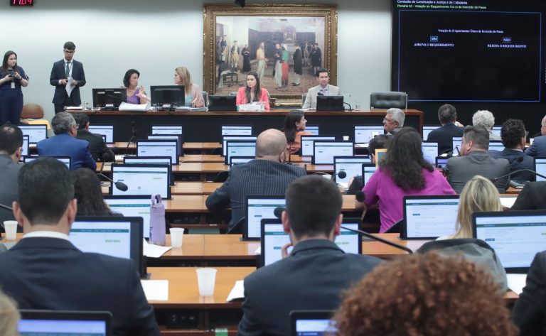 Discussão e votação de propostas legislativas. Dep. Caroline de Toni (PL - SC) e Dep. Gilson Marques (NOVO - SC)