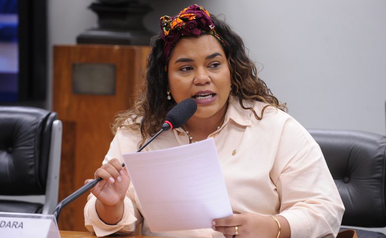 Audiência Pública - Participação das juventudes brasileiras na política institucional. Dep. Dandara (PT-MG)