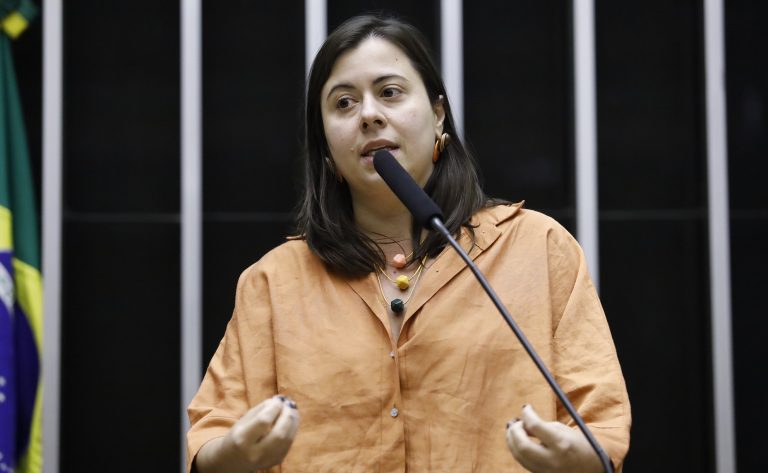 Discussão e votação de propostas legislativas. Dep. Sâmia Bomfim (PSOL-SP)
