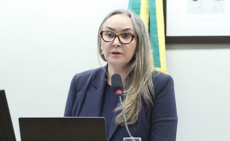 Deputada Daniela Reinehr fala ao microfone