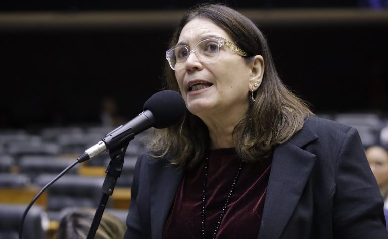 Discussão e votação de propostas legislativas. Dep. Bia Kicis (PL - DF)