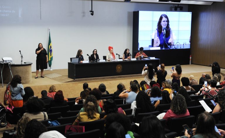 Seminário - Prevenção da Violência Política de Gênero e Raça.