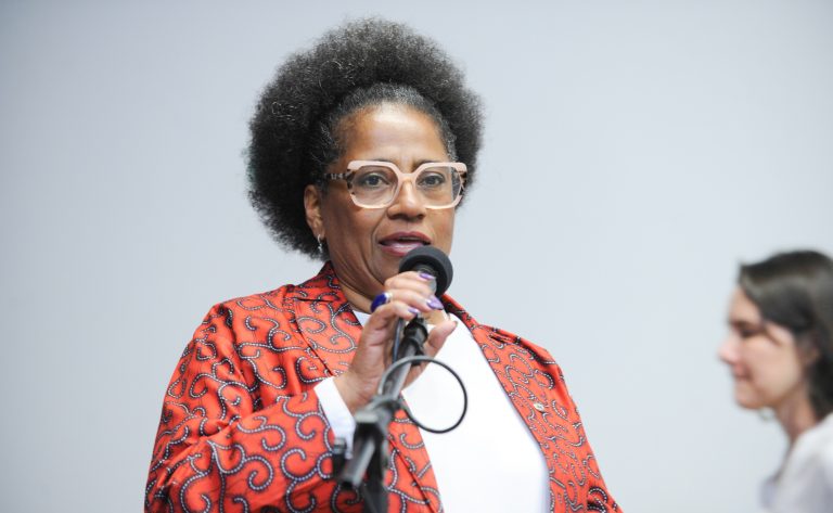 Seminário - Prevenção da Violência Política de Gênero e Raça. Dep. Reginete Bispo (PT-RS)