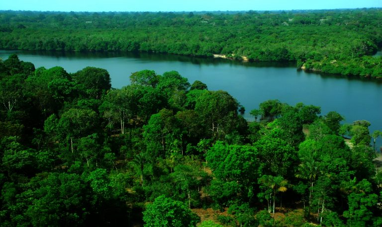 Imagem mostra parte de floresta e de rio na Amazônia