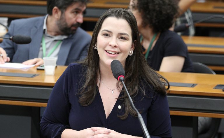 Audiência Pública - Situação das pessoas idosas durante e após a ocorrência de desastres. Dep. Maria Arraes (SOLIDARIEDADE - PE)