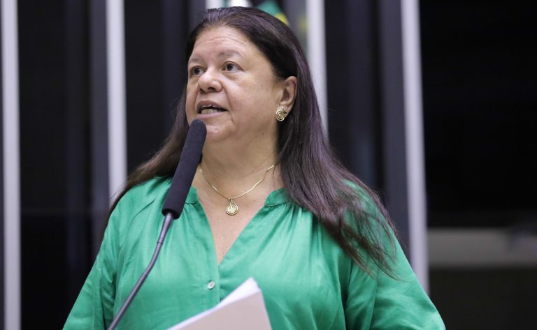 Homenagem ao mês da Primeira Infância. Dep. Laura Carneiro (PSD - RJ)
