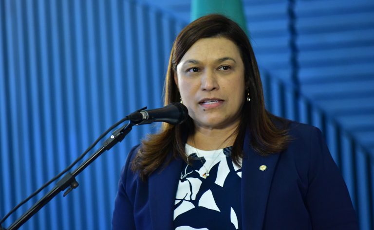 Deputada Maria Rosas fala ao microfone
