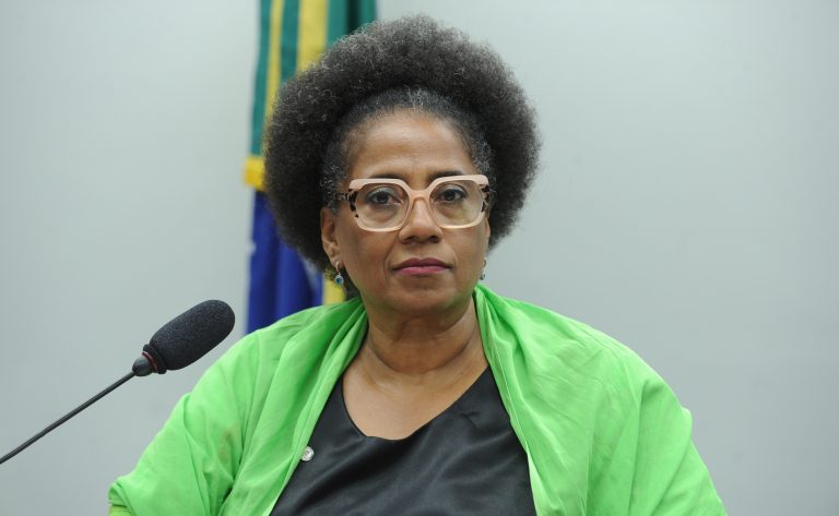 Audiência Pública – Inscrição do nome de Oliveira Silveira no Livro dos Heróis da Pátria. Dep. Reginete Bispo (PT - RS)