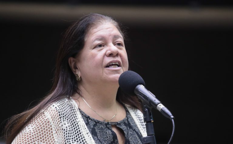 Discussão e votação de propostas legislativas. Dep. Laura Carneiro (PSD - RJ)
