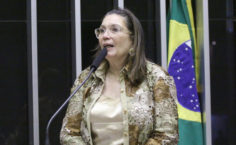 Homenagem aos Voluntários durante as enchentes no Rio Grande do Sul. Dep. Bia Kicis (PL - DF)