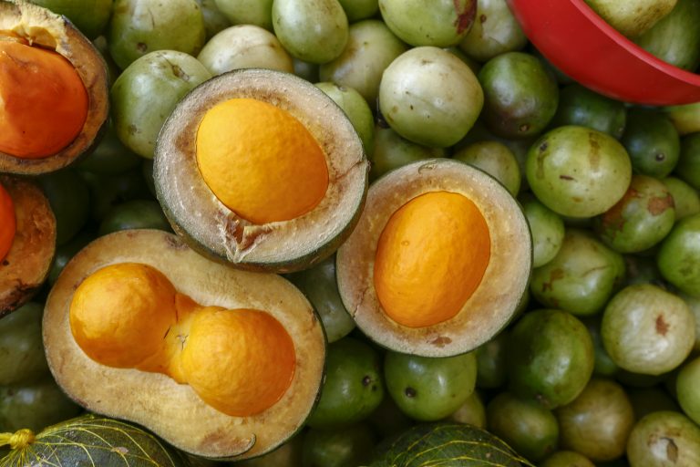 Alimentos - pequi