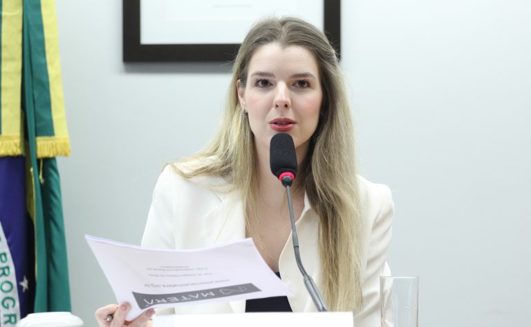 Deputada Luisa Canziani (PSD-PR) fala em comissão da Câmara dos Deputados 