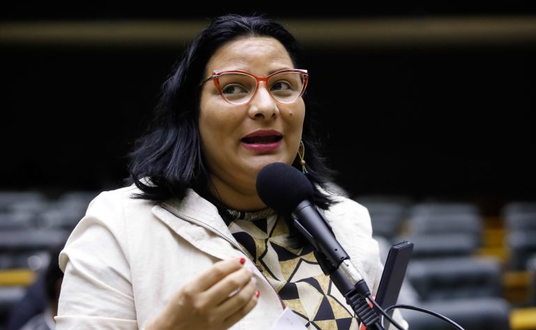 Discussão e votação de propostas legislativas. Dep. Juliana Cardoso (PT-SP)