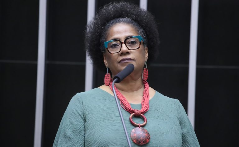 Discussão e votação de propostas legislativas. Dep. Reginete Bispo (PT - ES)