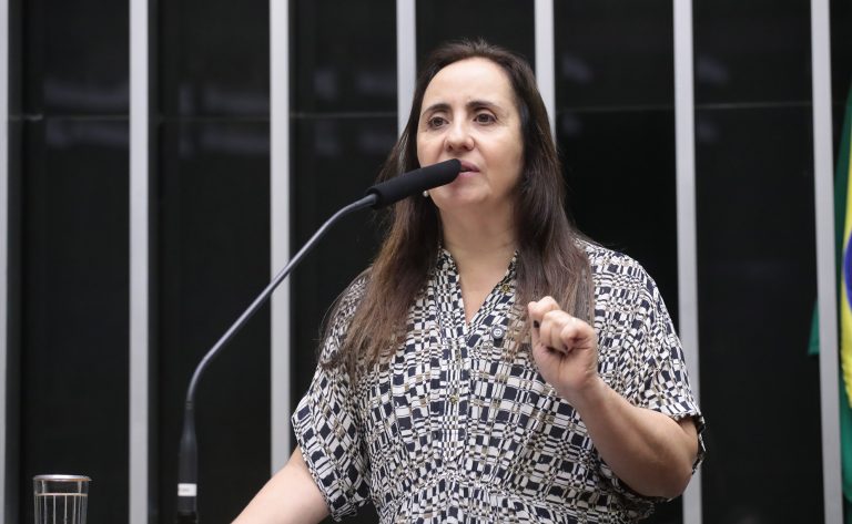 Deputada Adriana Ventura (Novo-SP) fala no Plenário da Câmara dos Deputados