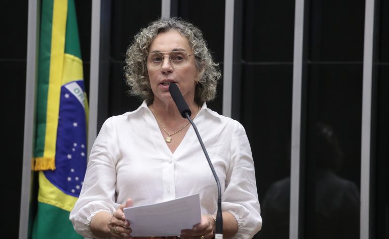 Deputada Ana Paula Lima (PT-SC) fala no Plenário da Câmara dos Deputados