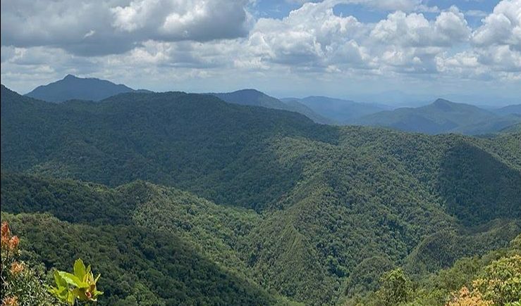 Parque Nacional da Serra do Itajaí - Santa Catarina - unidade de conservação - Mata Atlântica