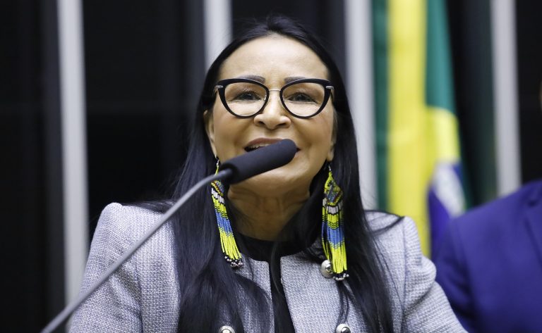 Deputada Silvia Waiãpi (PL-AP) fala no Plenário da Câmara dos Deputados