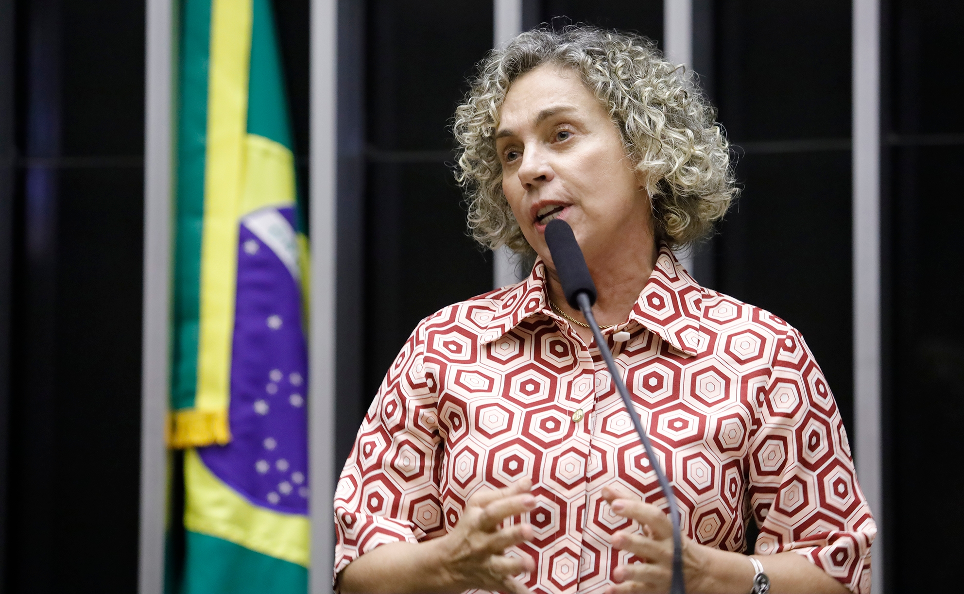 Plenário - Sessão Deliberativa