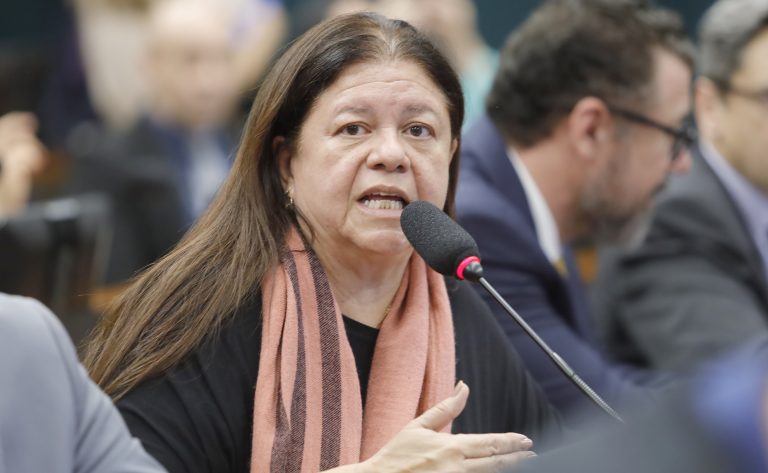 Deputada Laura Carneiro fala ao microfone