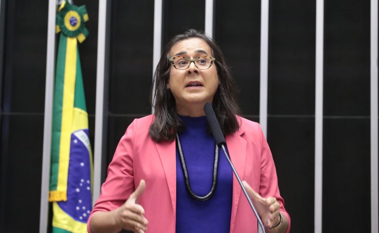 Discussão e votação de propostas legislativas. Dep. Duda Salabert (PDT - MG)