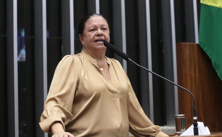 Deputada Laura Carneiro fala ao microfone