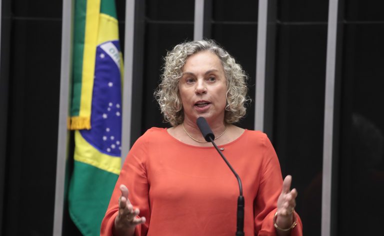 Deputada Ana Paula Lima (PT-SC) fala no Plenário da Câmara dos Deputados