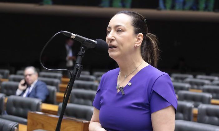Deputada Rosangela Moro (União-SP) fala no Plenário da Câmara dos Deputados