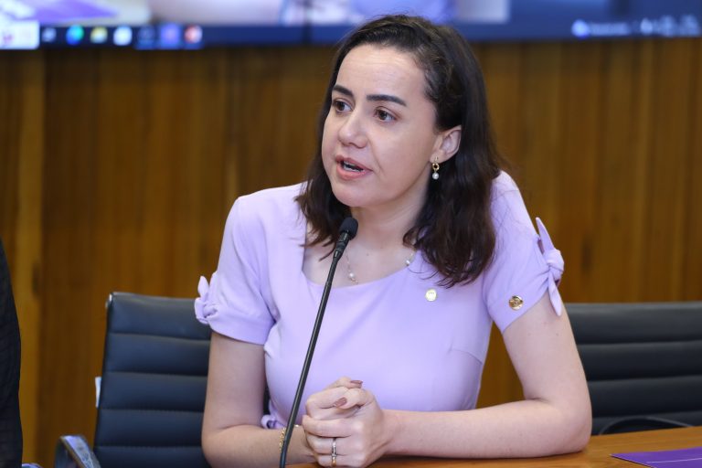 III Encontro Nacional de Procuradorias da Mulher. Procuradora da Mulher do Rio Grande do Sul, Deputada Estadual Franciane Bayer