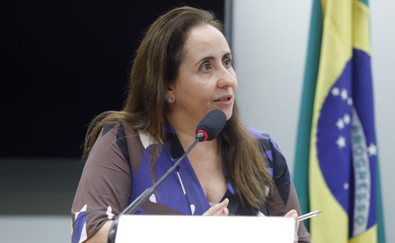 Subcomissão Permanente para tratar do Sistema Nacional de Educação (SNE). Dep. Adriana Ventura (NOVO-SP).