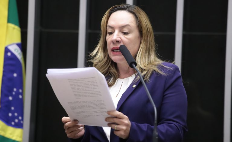 Delegada Adriana Accorsi (PT-GO) fala no Plenário da Câmara dos Deputados