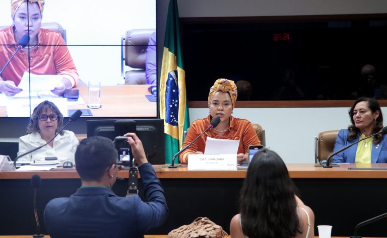 Instalação da comissão e eleição de presidente e vice-presidentes. Dep. Dandara (PT - MG)
