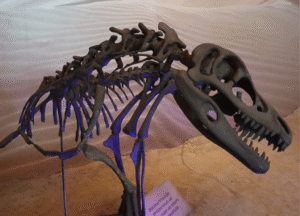 SP Jurássico: 10 cidades para visitar museus e conhecer a história dos dinossauros no estado