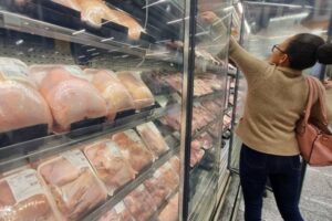 Gripe aviária pode ser transmitida entre humanos? Pode afetar carne de frango ou virar pandemia? Butantan responde