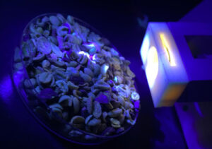 Teste do café: dispositivo eletrônico usa luz para avaliar qualidade dos grãos